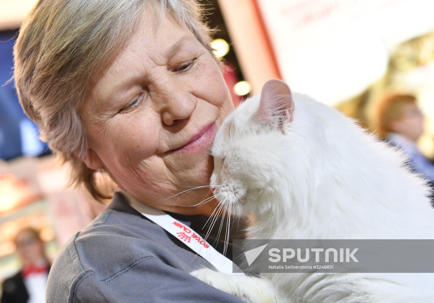 International cat show in Moscow
