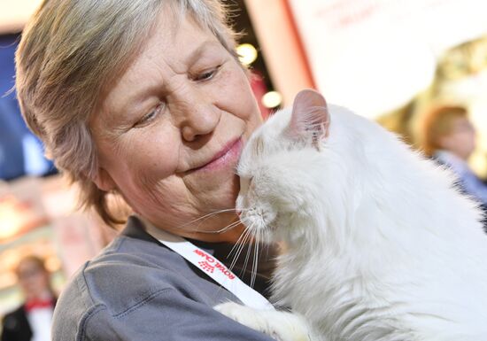 International cat show in Moscow