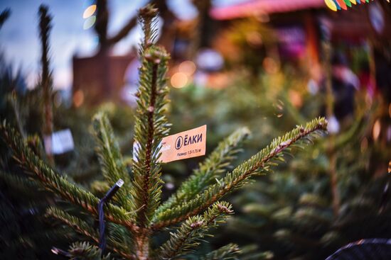Moscow ahead of New Year celebrations
