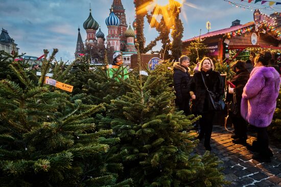 Moscow ahead of New Year