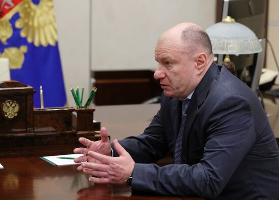 President Vladimir Putin meets with Norilsk Nickel CEO Vladimir Potanin