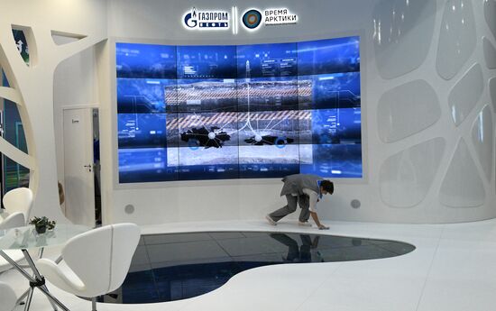 Seventh International Forum Arctic: Today and the Future. Day two