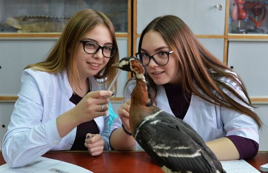 South Ural Pedagogical University