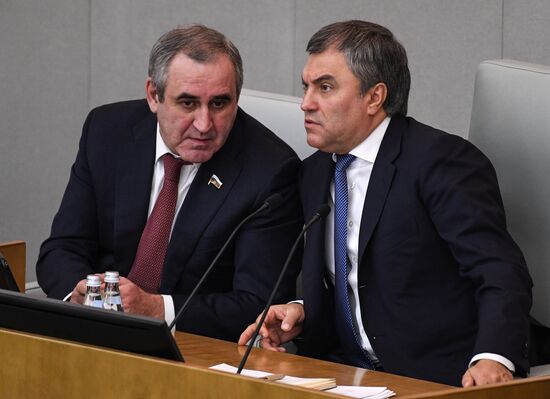 Parliamentary hearing at State Duma