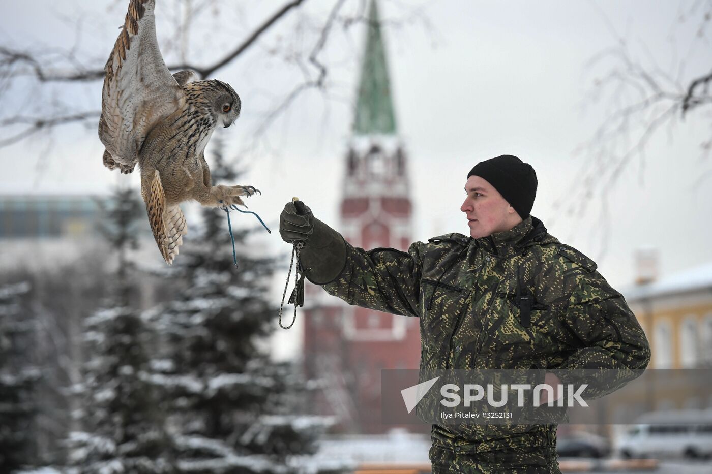Kremlin's falcon service