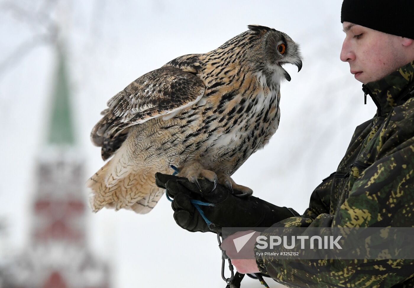 Kremlin's falcon service