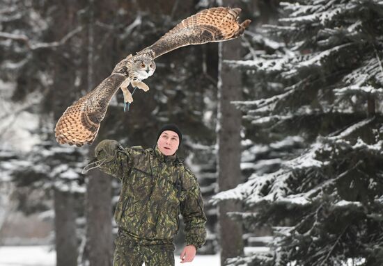 Kremlin's falcon service