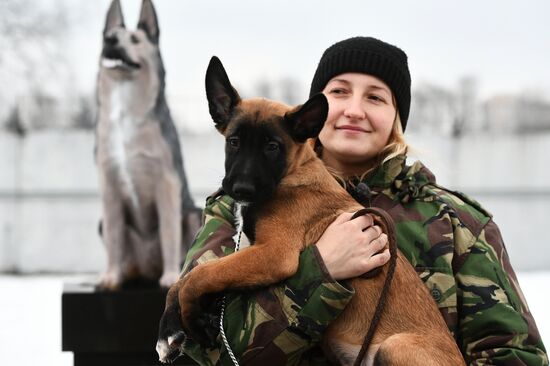 Training of service dogs at specialized center