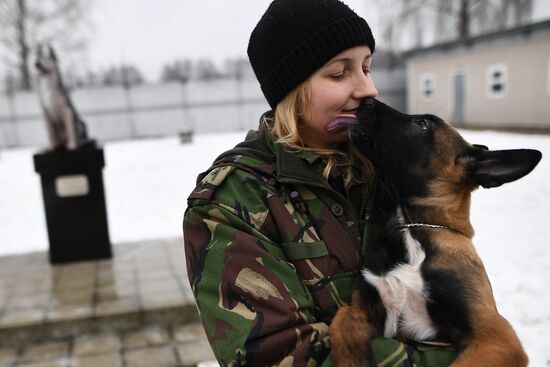 Training of service dogs at specialized center