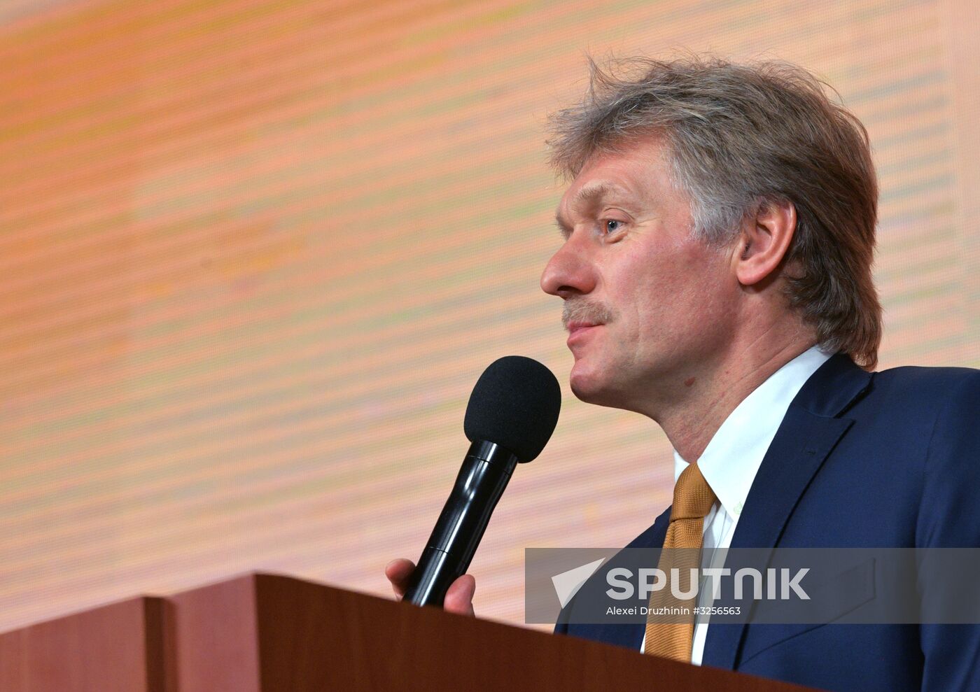 Vladimir Putin's annual news conference