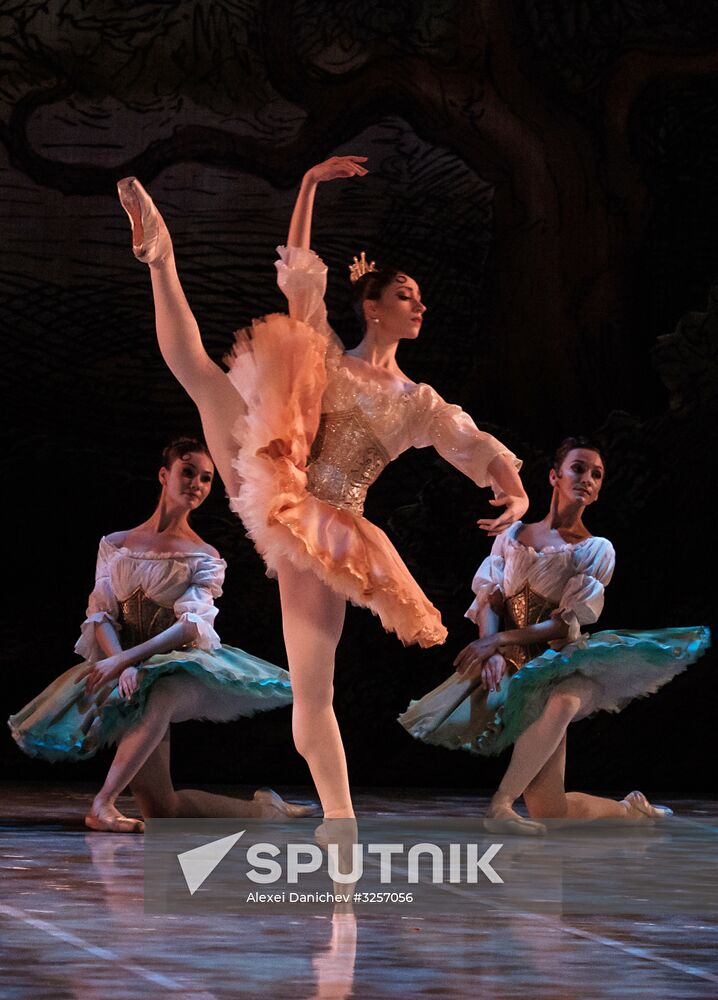 'Don Quixote' ballet premieres in St. Petersburg