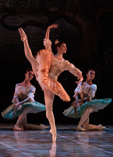 'Don Quixote' ballet premieres in St. Petersburg