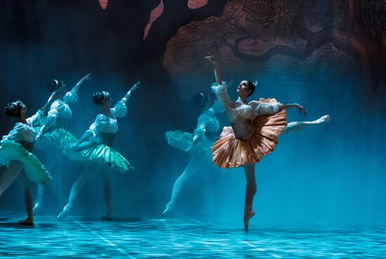 'Don Quixote' ballet premieres in St. Petersburg