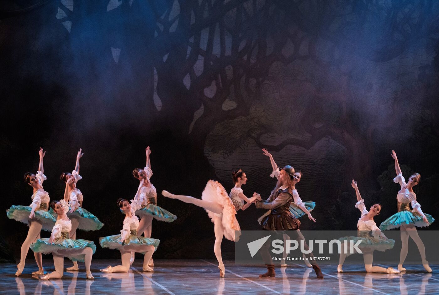 'Don Quixote' ballet premieres in St. Petersburg