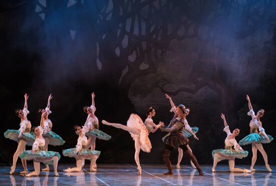 'Don Quixote' ballet premieres in St. Petersburg