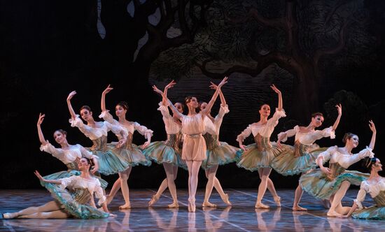 'Don Quixote' ballet premieres in St. Petersburg