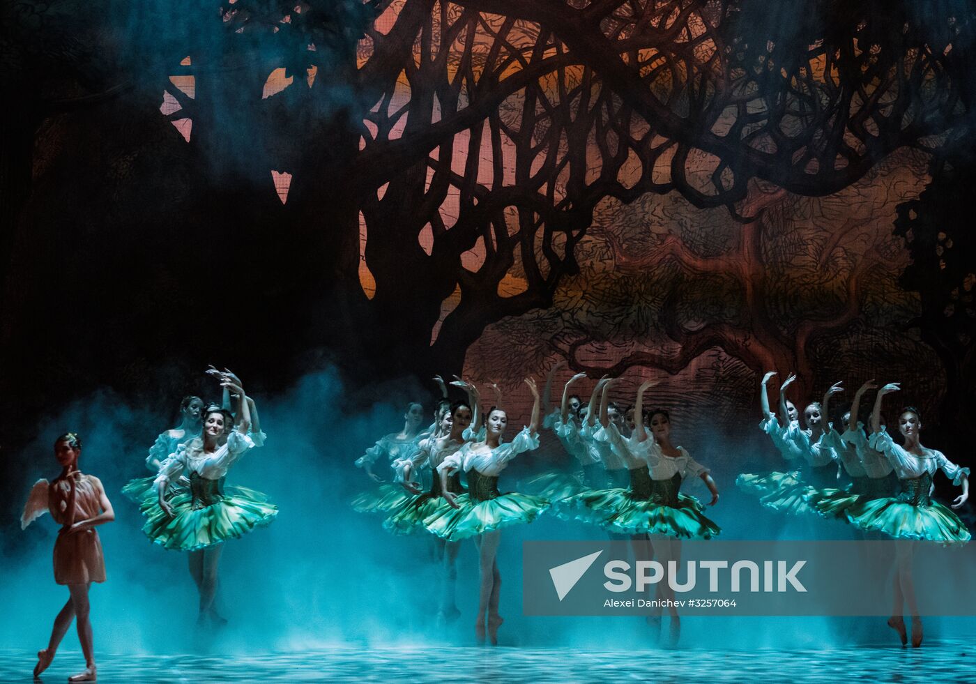'Don Quixote' ballet premieres in St. Petersburg