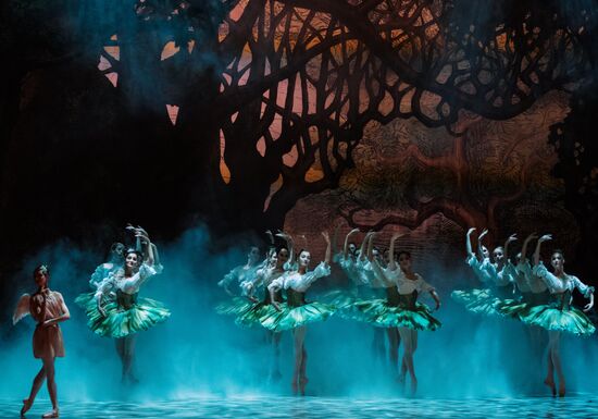 'Don Quixote' ballet premieres in St. Petersburg