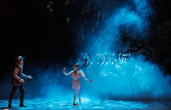 'Don Quixote' ballet premieres in St. Petersburg