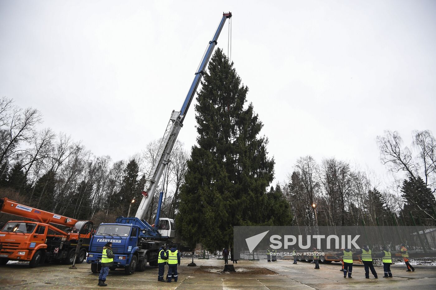 Cutting of Russia's main Christmas Tree