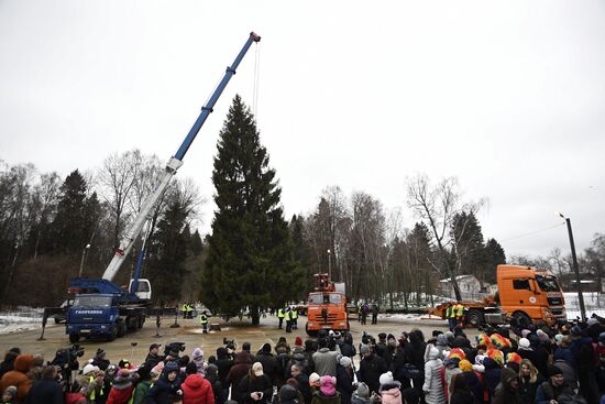 Cutting of Russia's main Christmas Tree