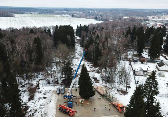 Cutting of Russia's main Christmas Tree