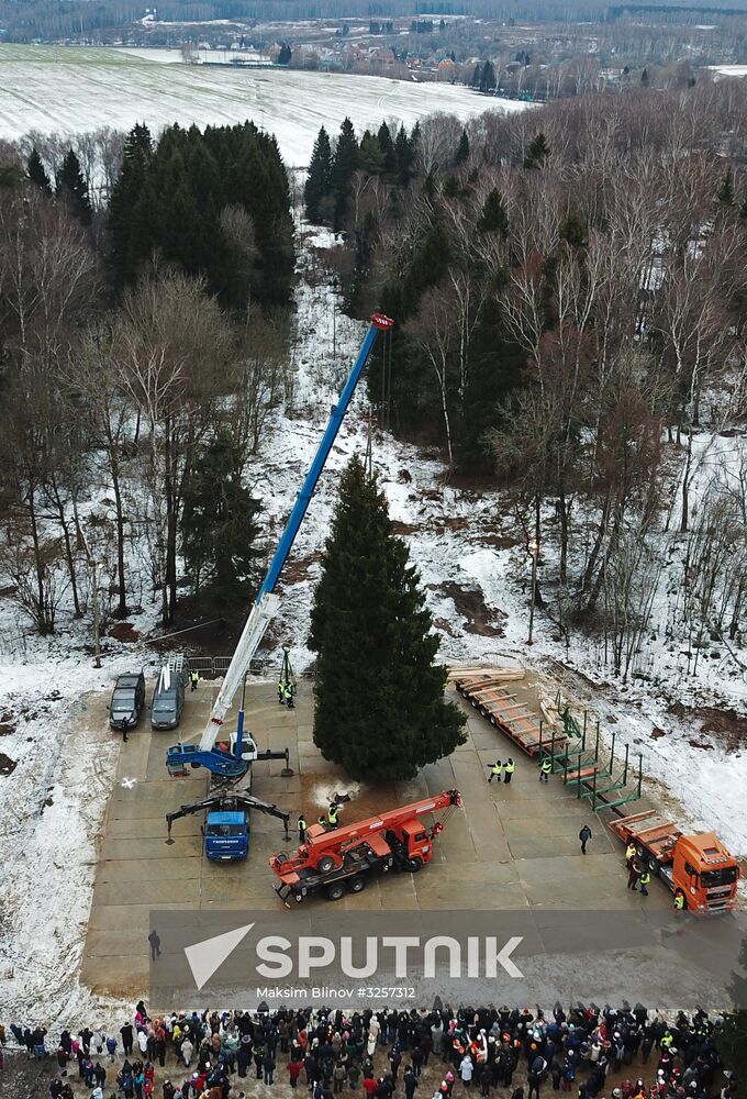 Cutting of Russia's main Christmas Tree