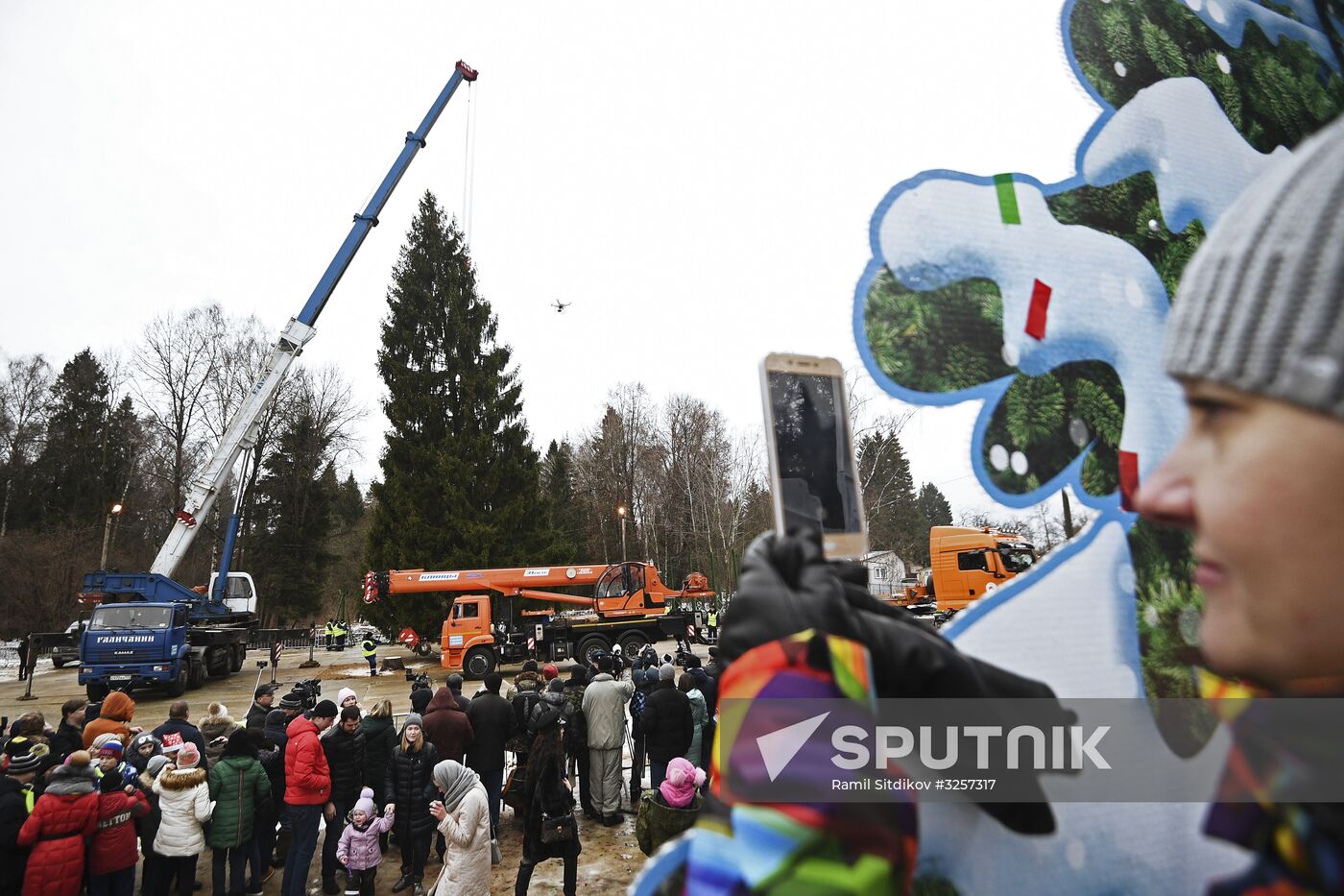 Cutting of Russia's main Christmas Tree