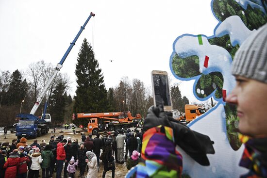 Cutting of Russia's main Christmas Tree