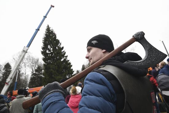 Cutting of Russia's main Christmas Tree