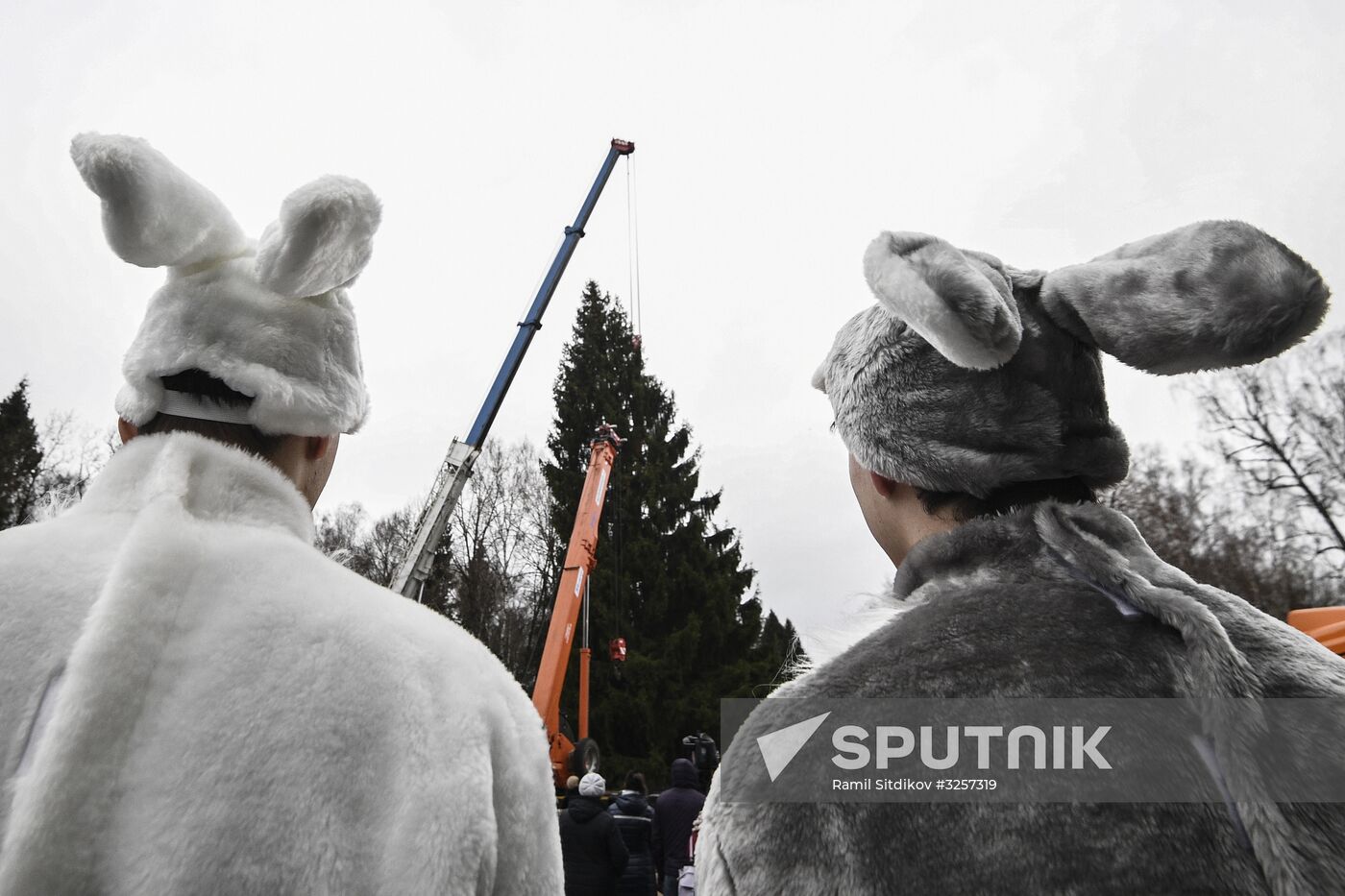 Cutting of Russia's main Christmas Tree