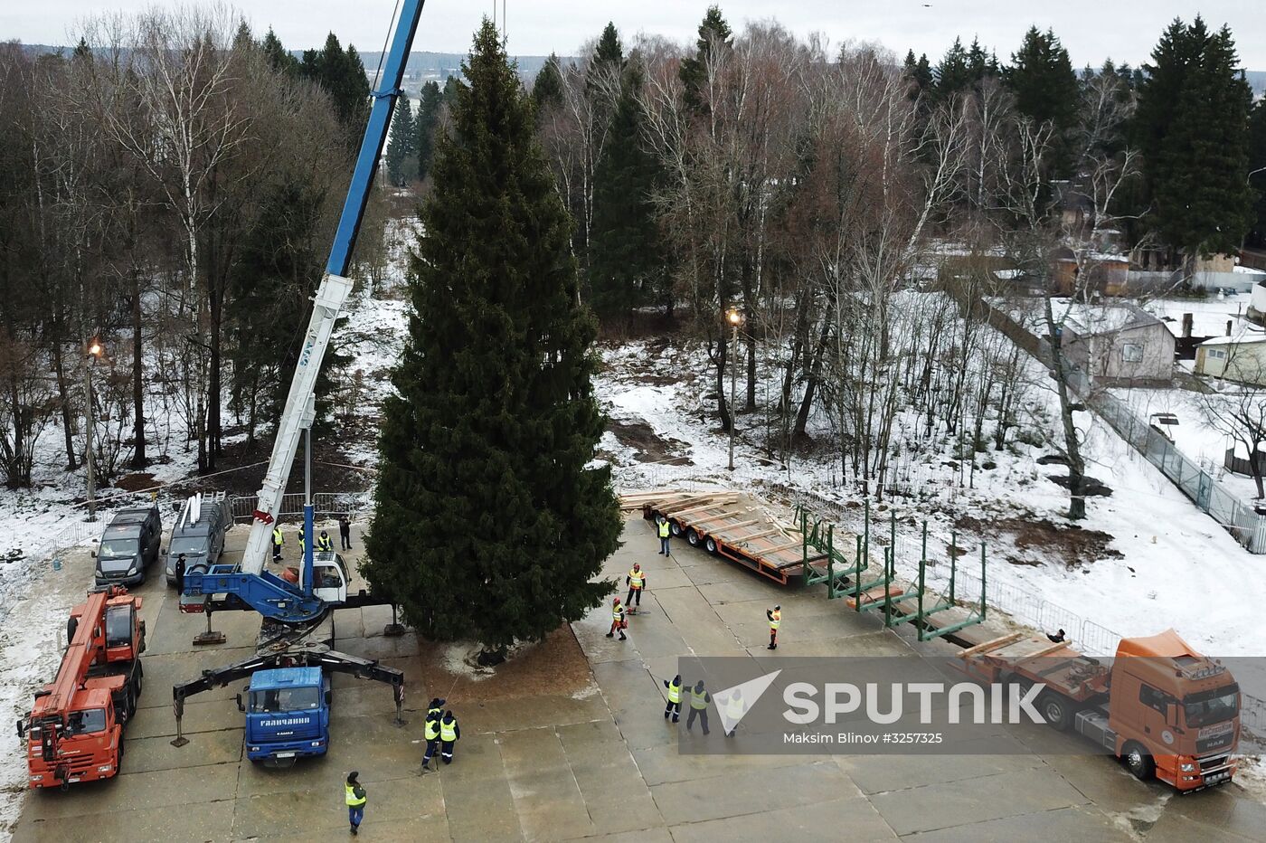 Cutting of Russia's main Christmas Tree