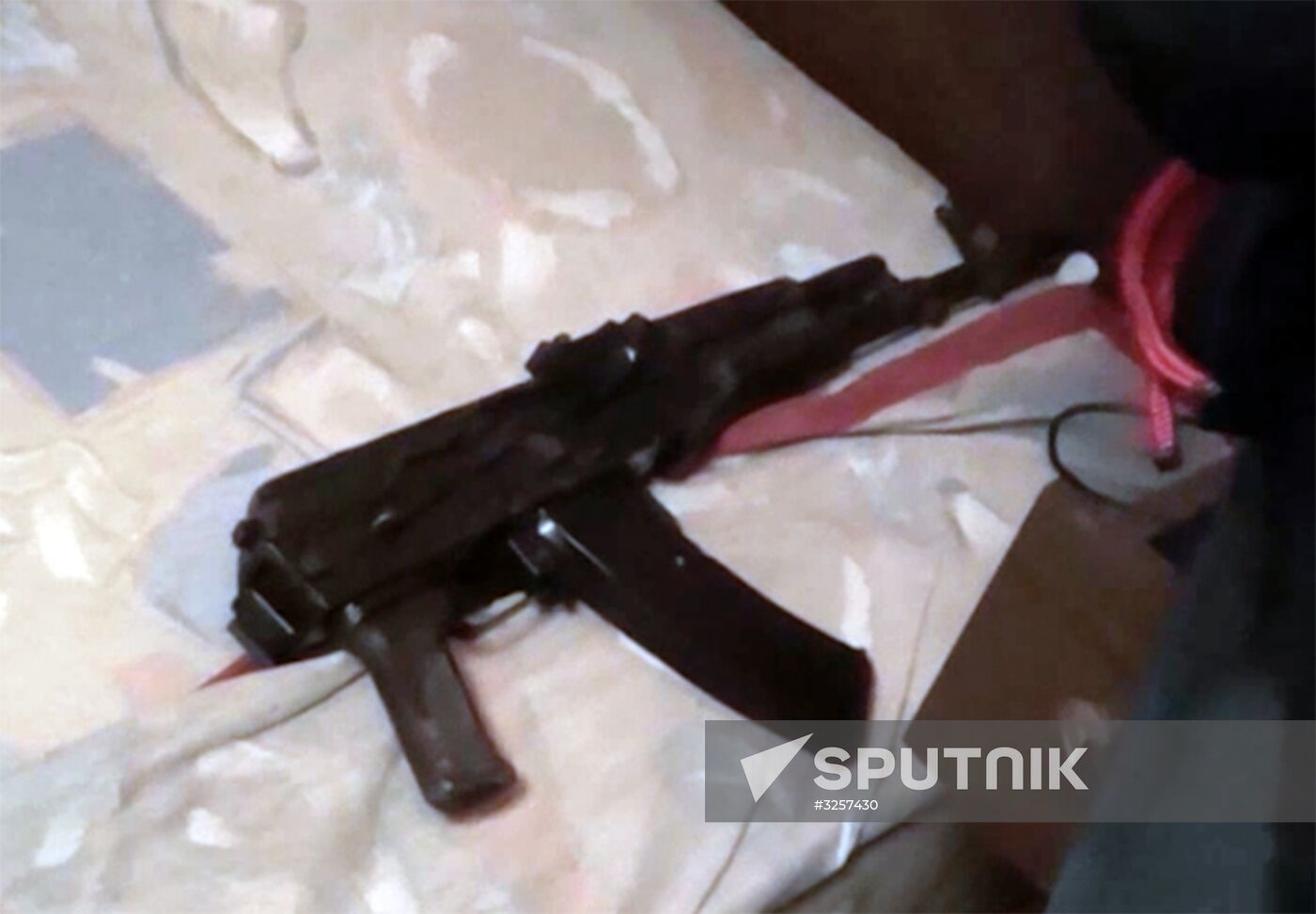 Russian Federal Security Service prevents terrorist attack in St. Petersburg