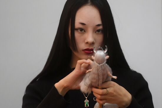 18th Art of Doll international exhibition opens in Moscow