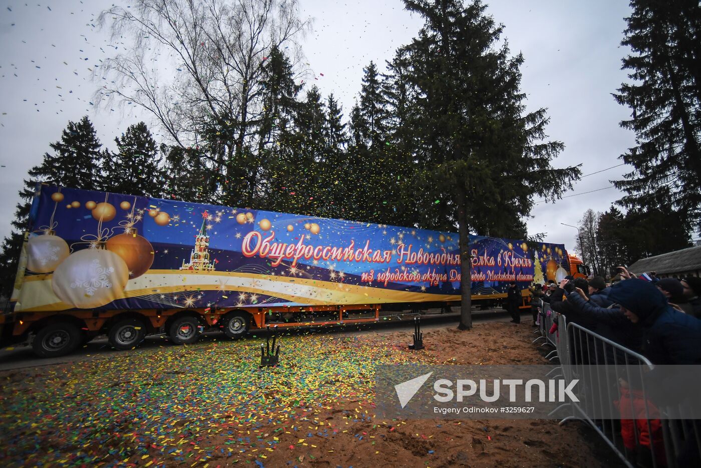Carrying main New Year tree to Moscow