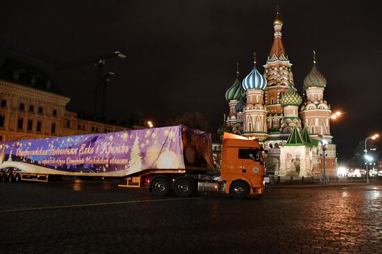 Delivering New Year tree to Kremlin