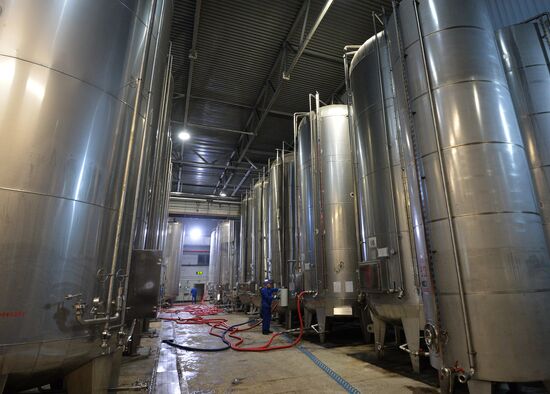 Prooduction of champagne in Chelyabinsk