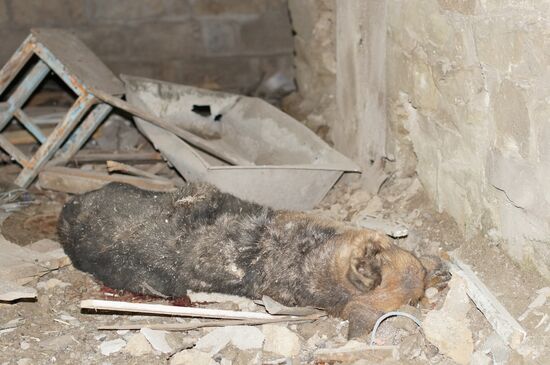 Aftermath of Stakhanov shelling in Donbass