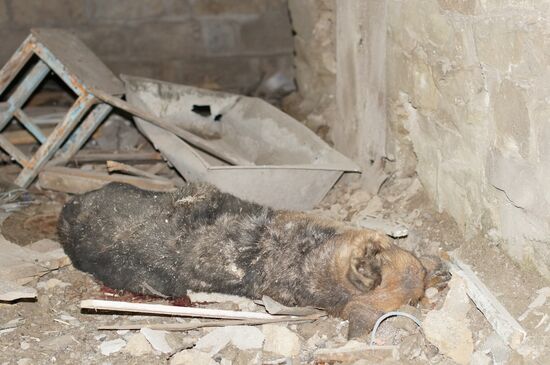 Aftermath of Stakhanov shelling in Donbass