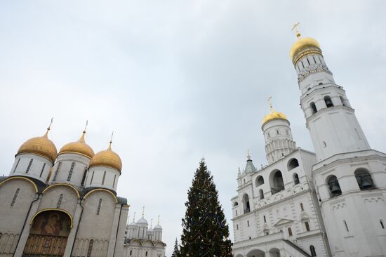 Decorating New Year's tree on Moscow Kremlin's Cathedral Square