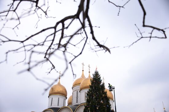 Decorating New Year's tree on Moscow Kremlin's Cathedral Square