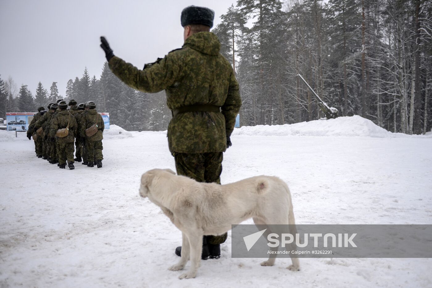 Military drill with S-400 anti-aircraft system in Leningrad Region