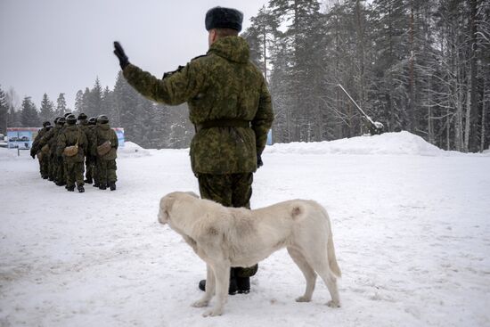 Military drill with S-400 anti-aircraft system in Leningrad Region