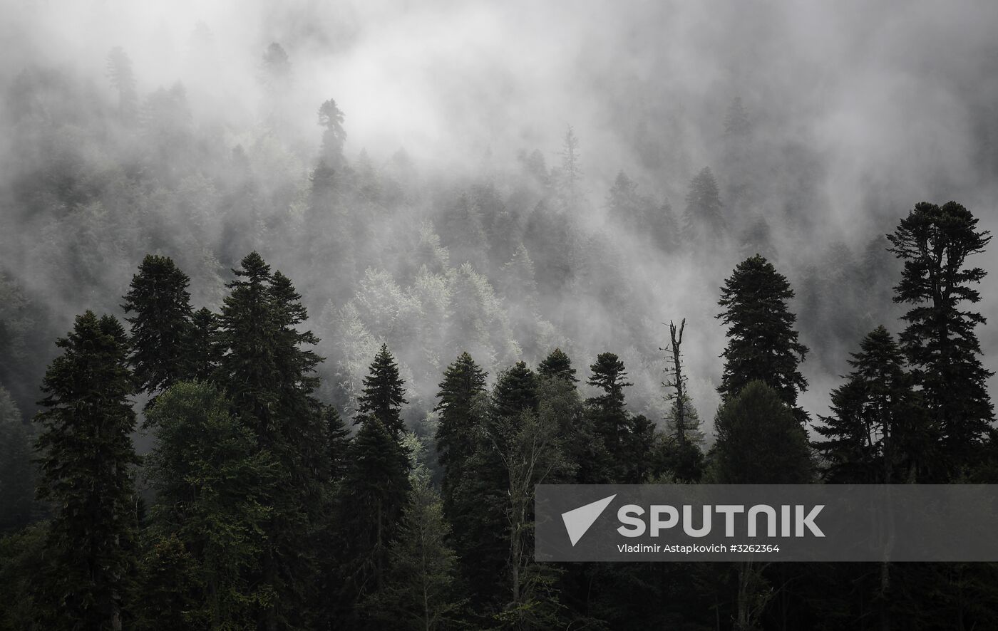 Rosa Khutor all year round alpine skiing resort