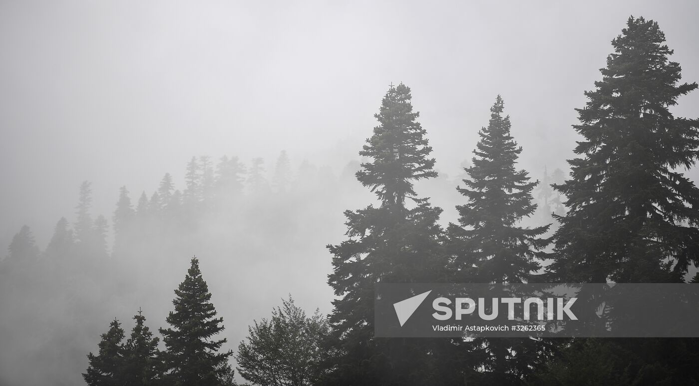 Rosa Khutor all year round alpine skiing resort