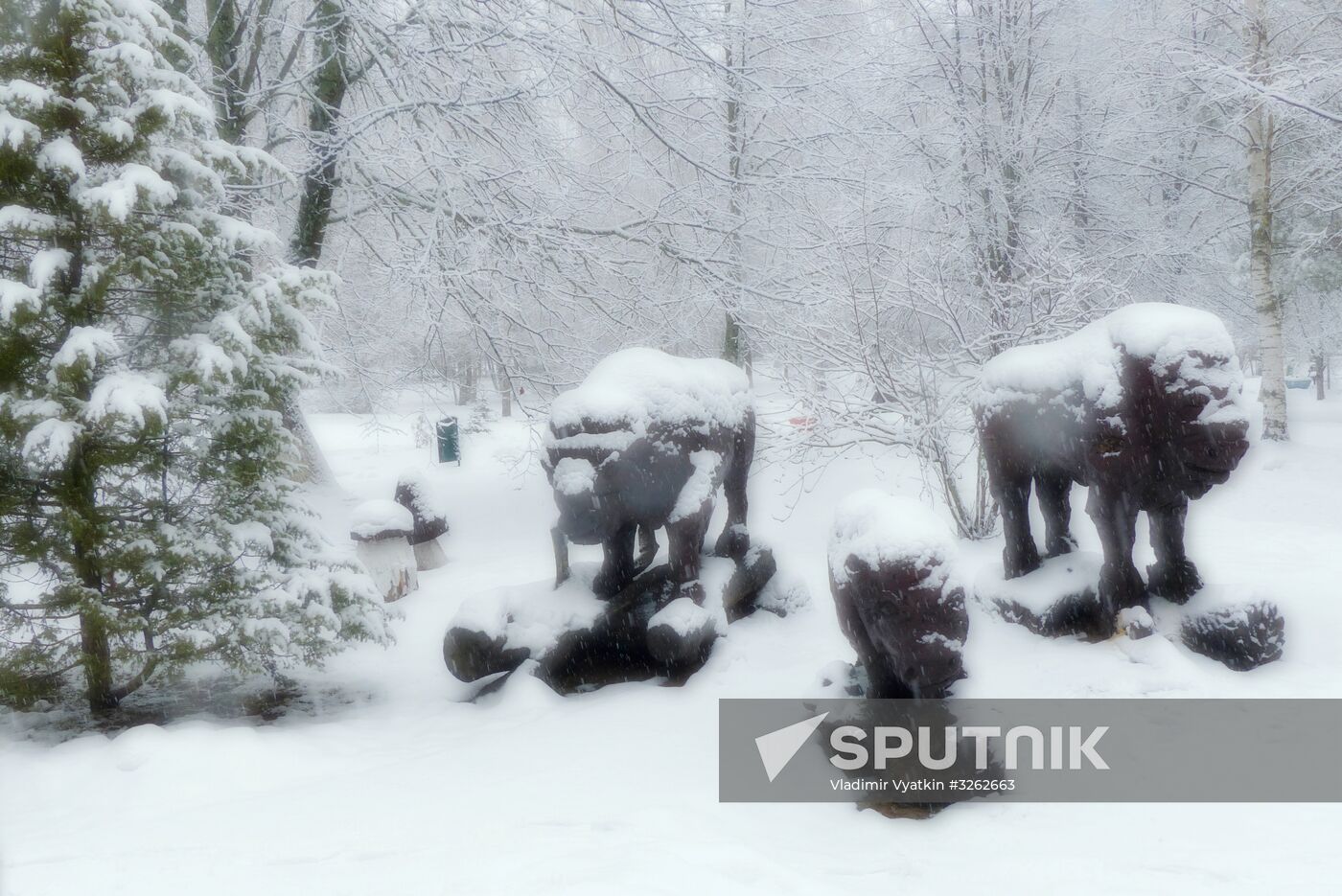 Winter in Belarus