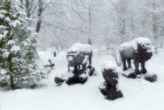 Winter in Belarus