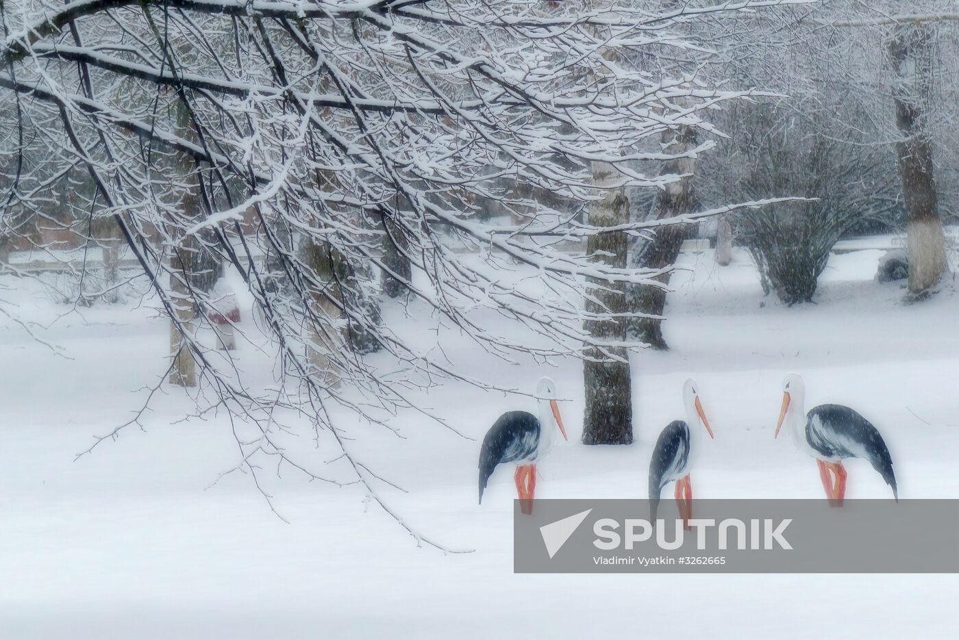 Winter in Belarus