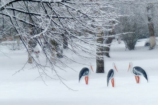 Winter in Belarus
