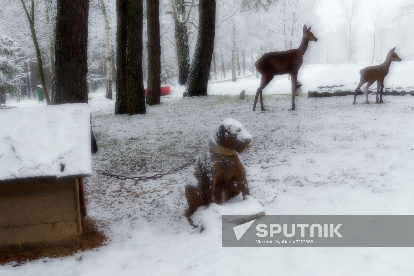 Winter in Belarus